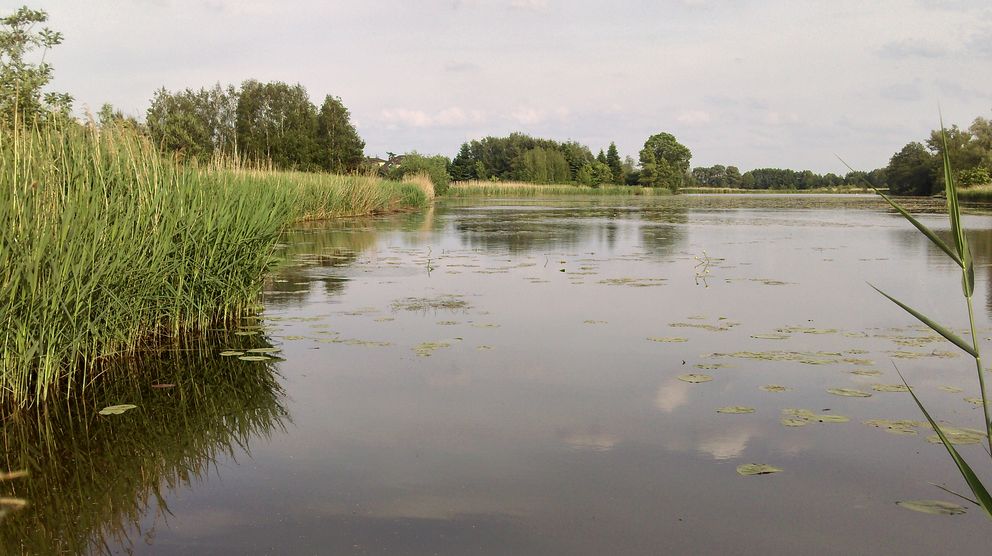 Jezioro Lisowskie